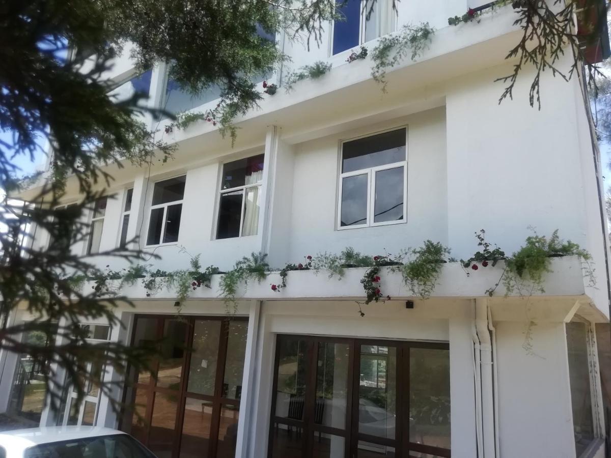 Tea Mount Forest Nuwara Eliya Zewnętrze zdjęcie