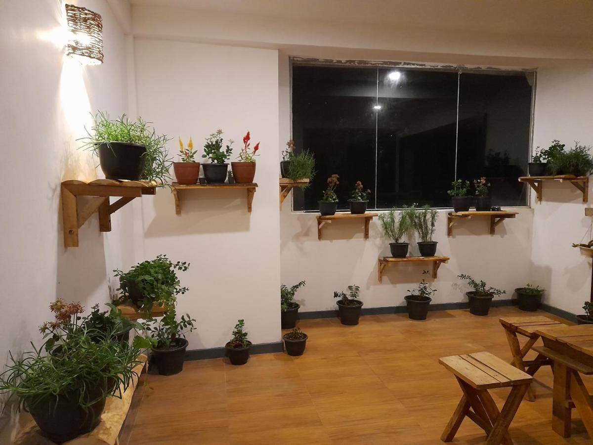 Tea Mount Forest Nuwara Eliya Zewnętrze zdjęcie