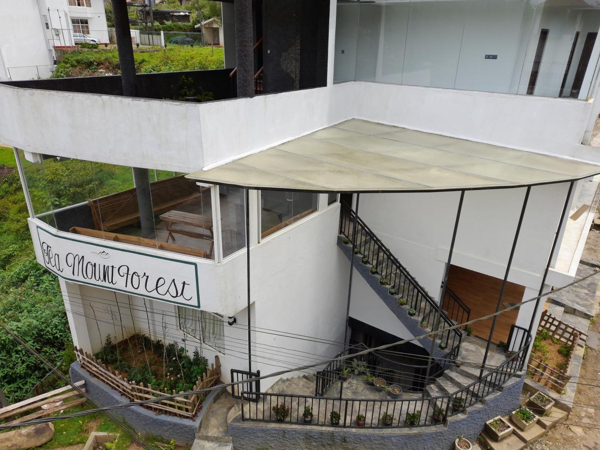 Tea Mount Forest Nuwara Eliya Zewnętrze zdjęcie